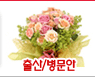 출산/병문안