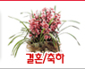 결혼/축하